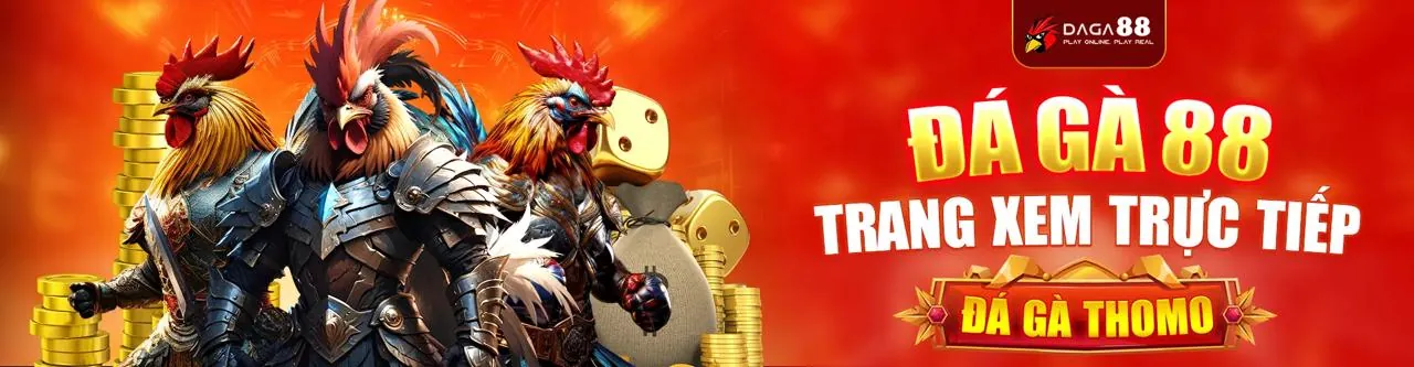 Đá Gà Trực Tuyến Sun20